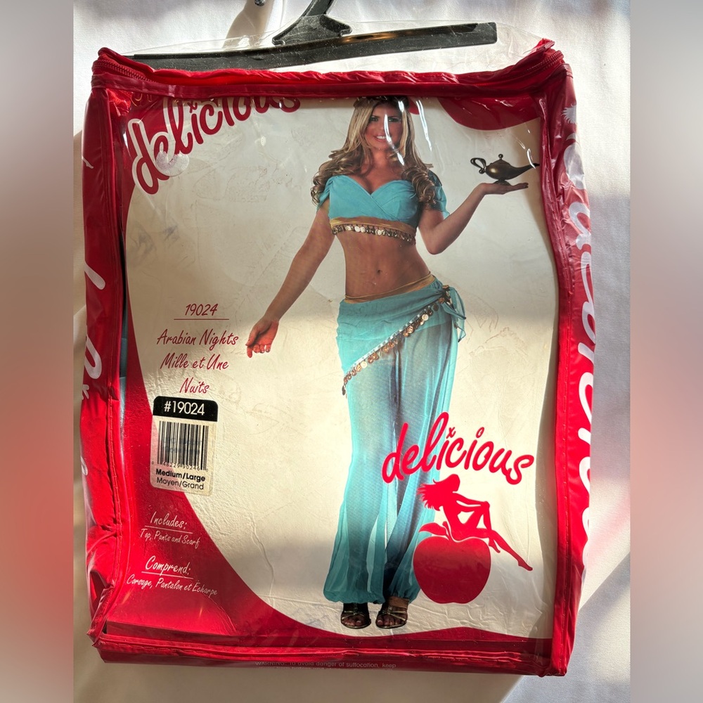 Delicious Teal and Gold Arabian Nights Costume Set size M/L